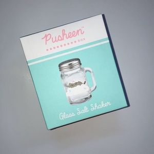Pusheen Salt Shaker
